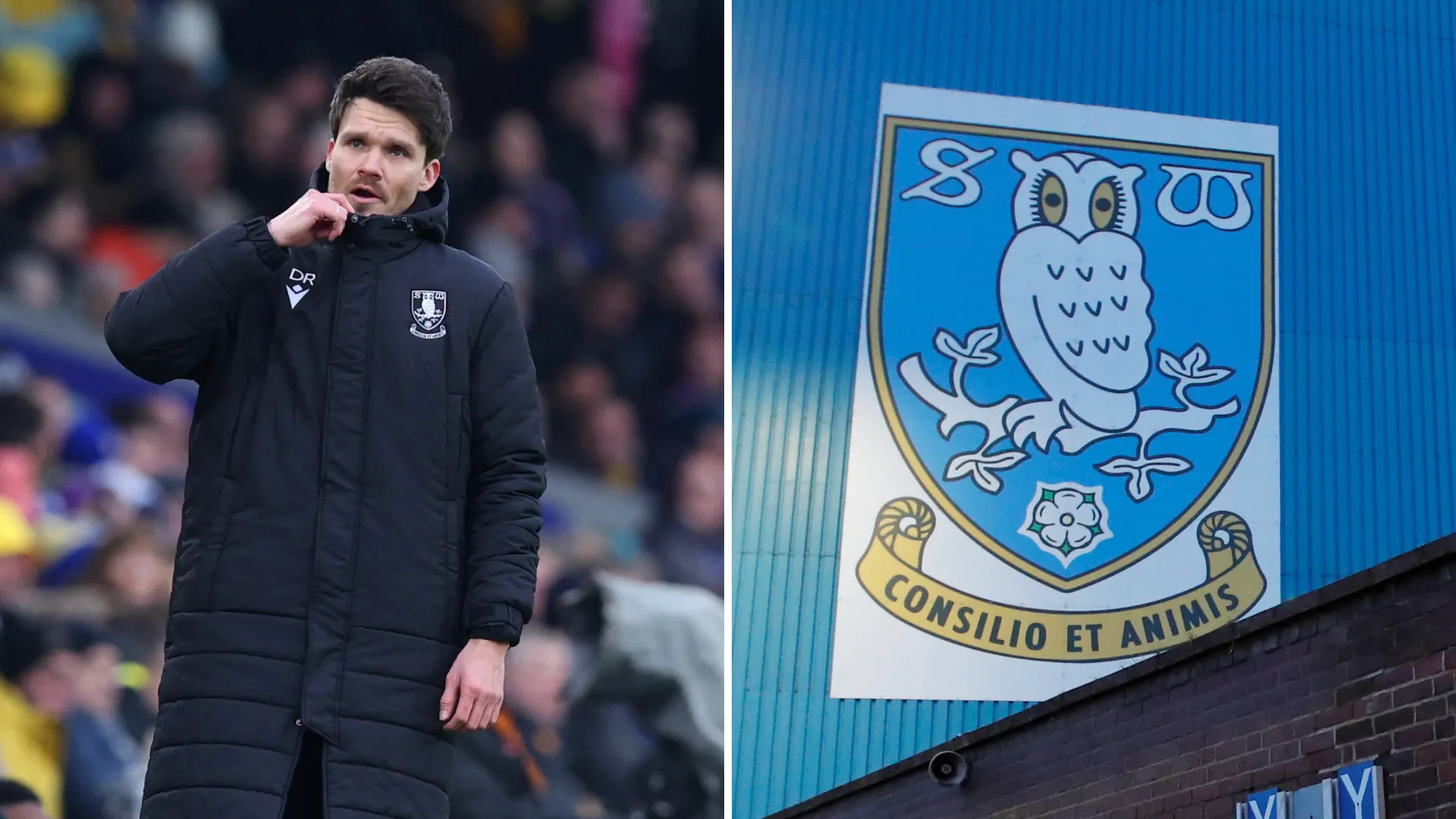 HLV Danny Rohl của Sheffield Wednesday đang phát biểu