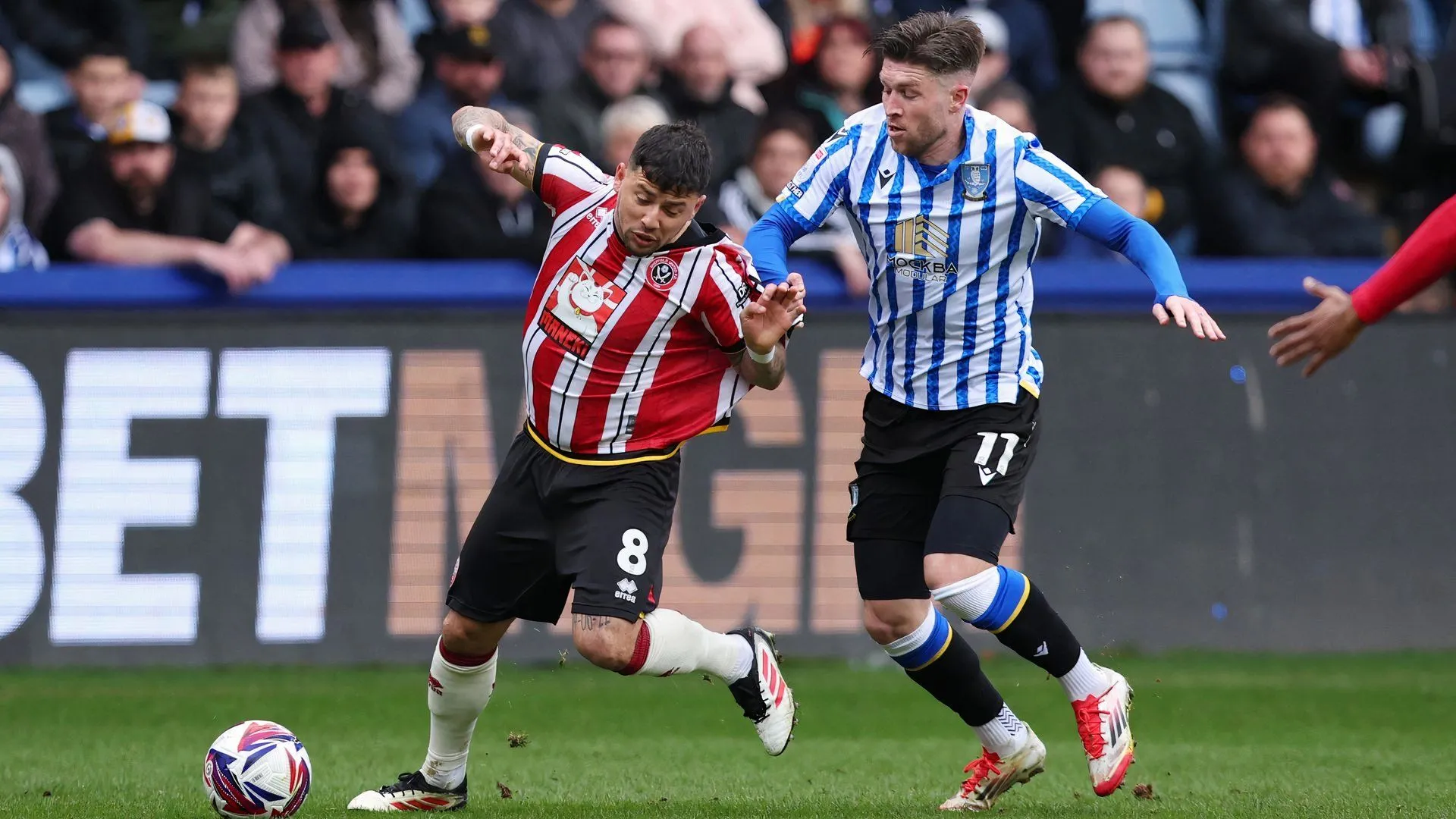 Josh Windass thi đấu cho Sheffield Wednesday trong trận derby với Sheffield United